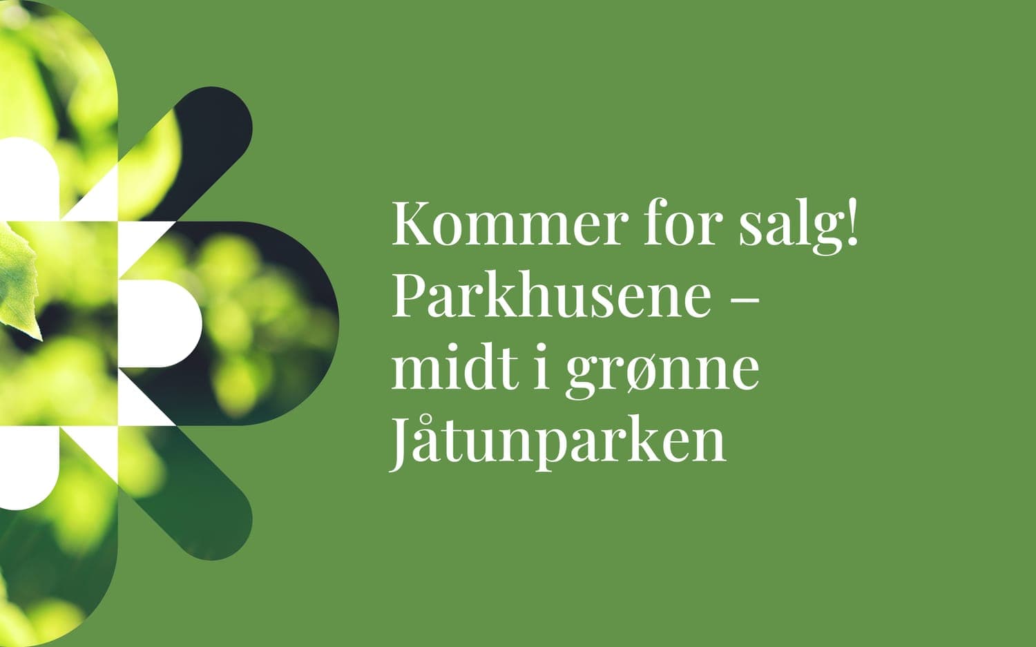 Et bilde som er lagt til i innlegget.